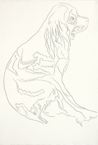 Dog (Cocker Spaniel)