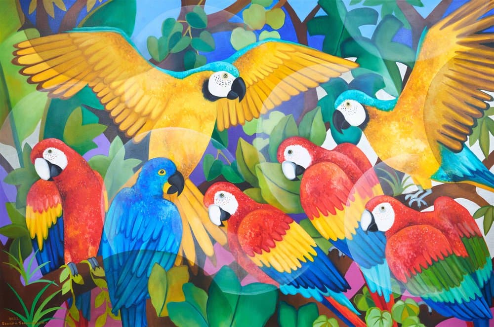 Macaws