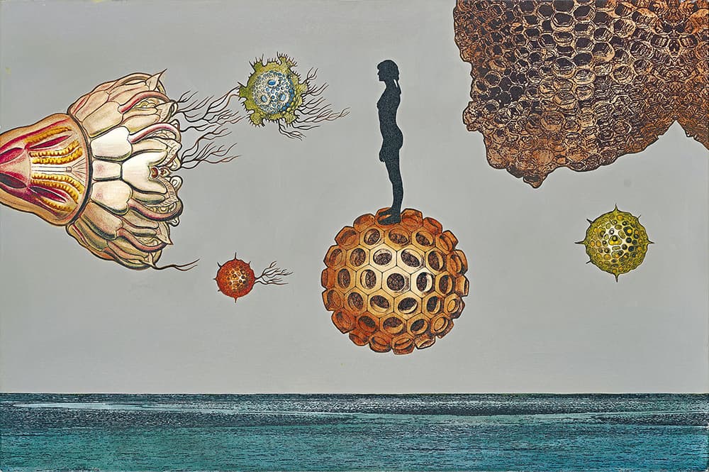 Evolve