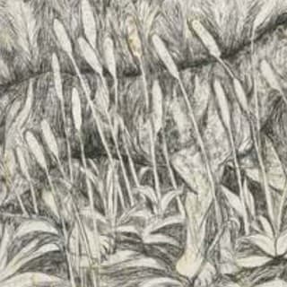 Famous Tiger Paintings & What They Teach Us About Wildlife Art