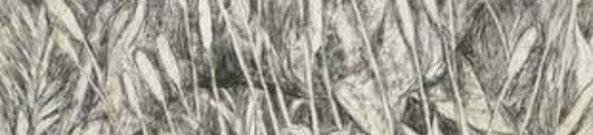 Famous Tiger Paintings & What They Teach Us About Wildlife Art