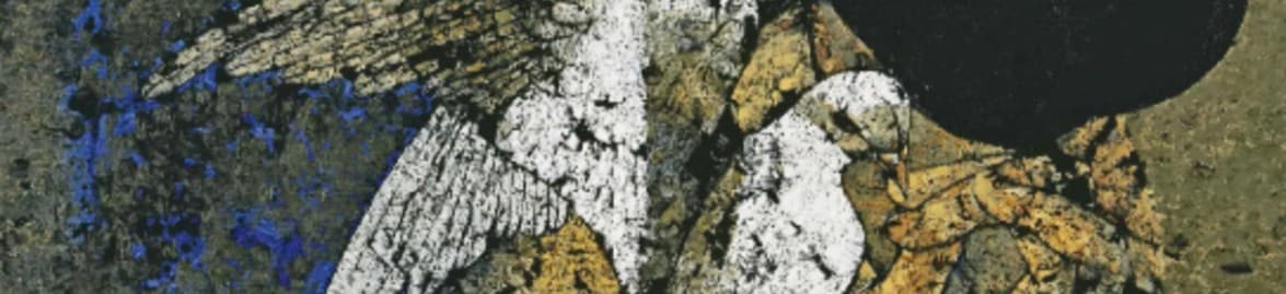 Symbolism of Pigeons in Jamil Naqsh’s Paintings