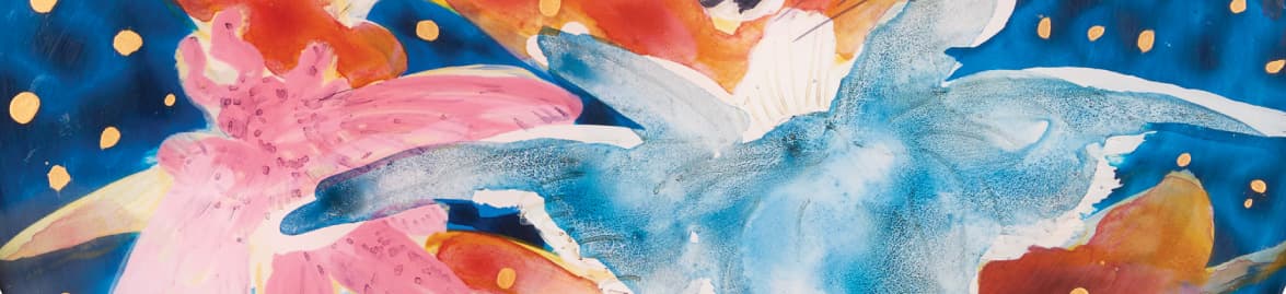 Nalini Malani - A Pioneer Of Feminist Art In India