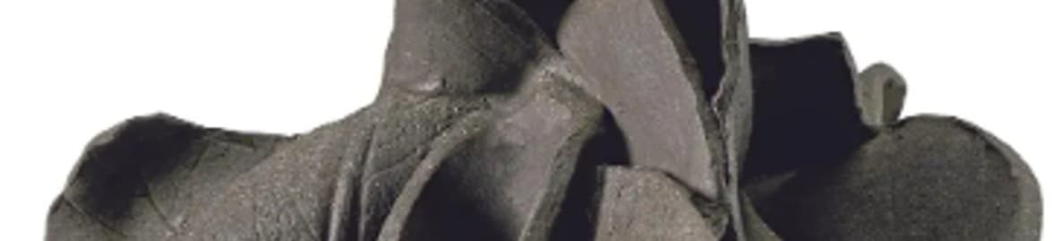 Mrinalini Mukherjee - Visionary Who Transformed Fiber Into Art