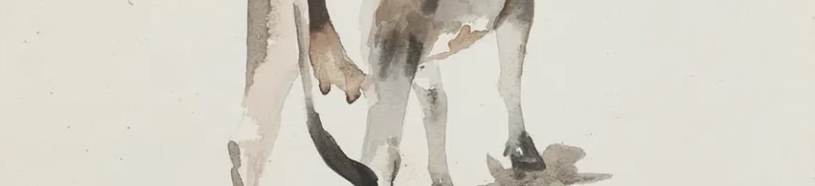 Subodh Gupta - Three Cows (2003) | Overview