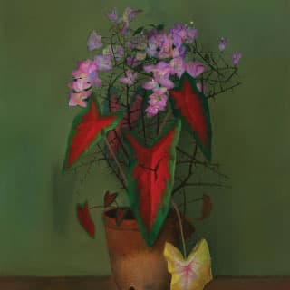 Press Image 8