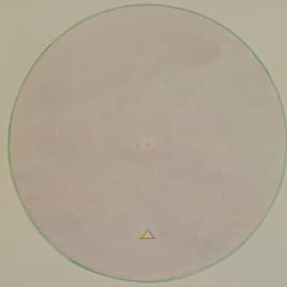 Hilma af Klint – Esoteric Artist & Mother of Abstraction