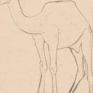 Camel Paintings in Vastu: A Complete Guide for Home & Office